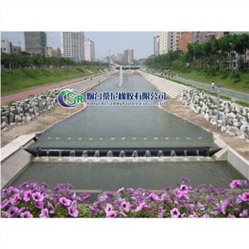 Presa Inflable Estándar Internacional