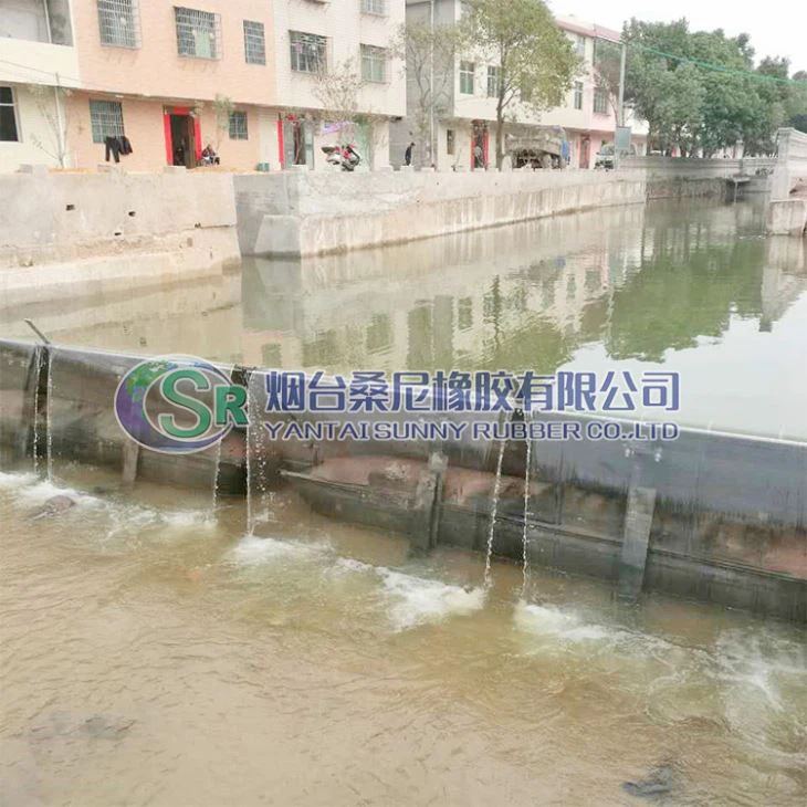 Sistema neumático de puente de compuerta