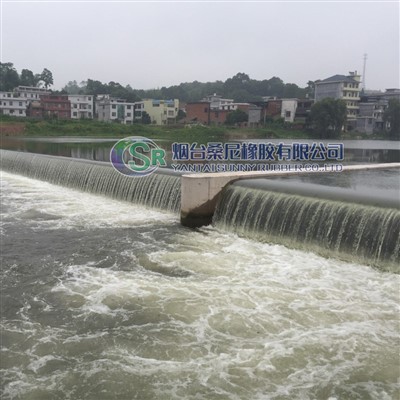 Presa de soporte de compuerta de aliviadero automático